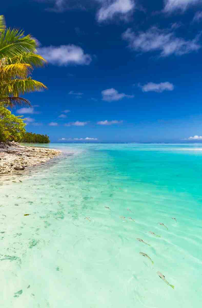 Pourquoi aller vivre en Polynésie française fenua tahiti