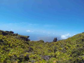 Martinique ou guadeloupe avis