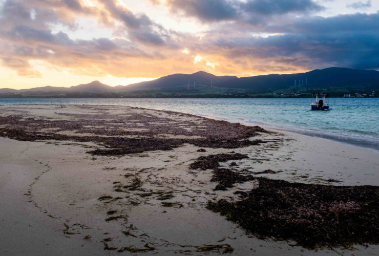 Combien de rhum peut on ramener de guadeloupe