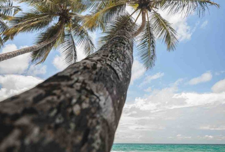 Combien d'heure de decalage avec la martinique