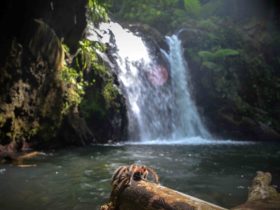 Combien mesure la guadeloupe