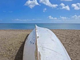 Comment se proteger des moustiques en martinique