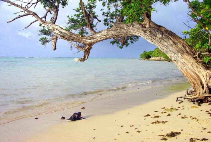 Guadeloupe combien d'heure de vol