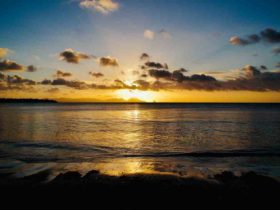 Quelle periode pour aller en martinique