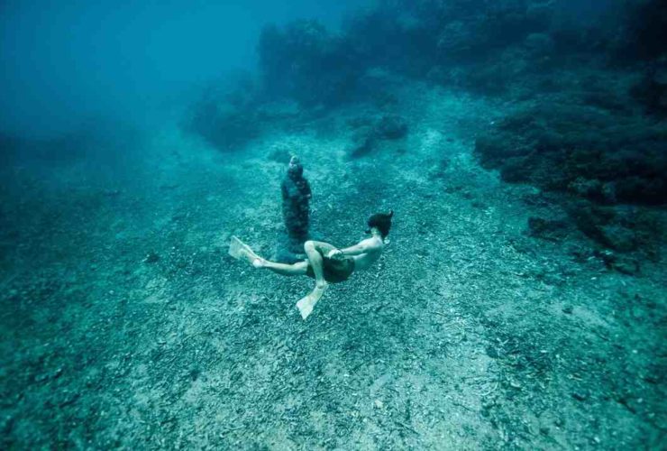 Snorkeling guadeloupe ou martinique