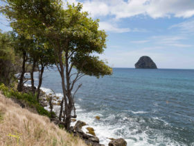 Vacances en guadeloupe ou martinique