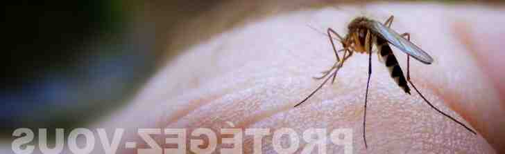 Docas são os sintomas da dengue?