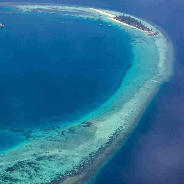 Jak Bougainville nazwał Tahiti po jego odkryciu?
