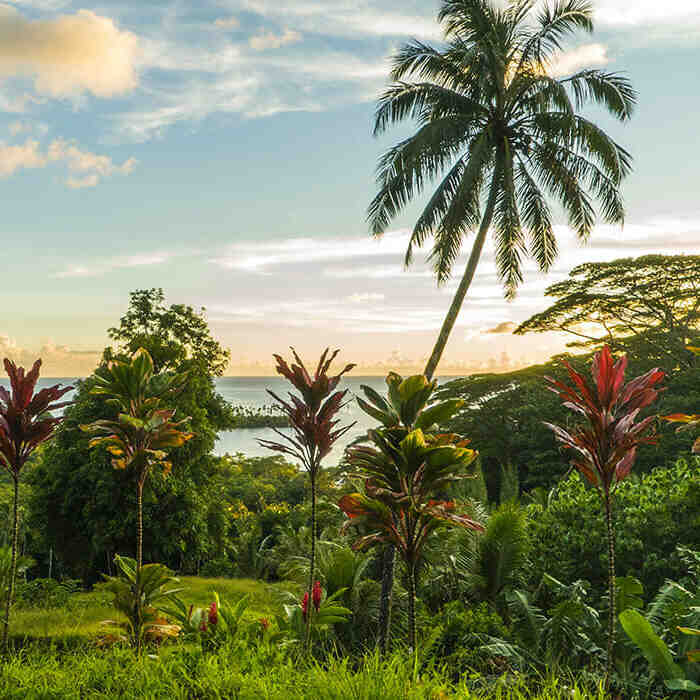 Est-ce que la vie est chère à Tahiti ?