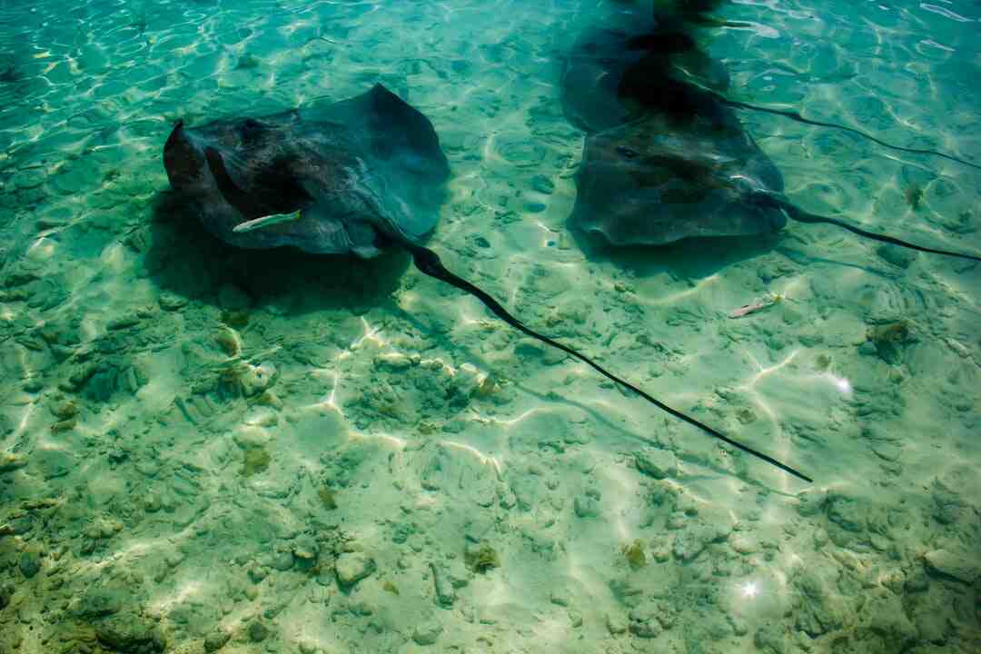 Var kan man simma i Papeete?