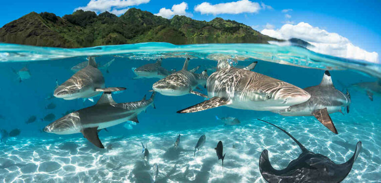 Où se baigner à Tahiti ?