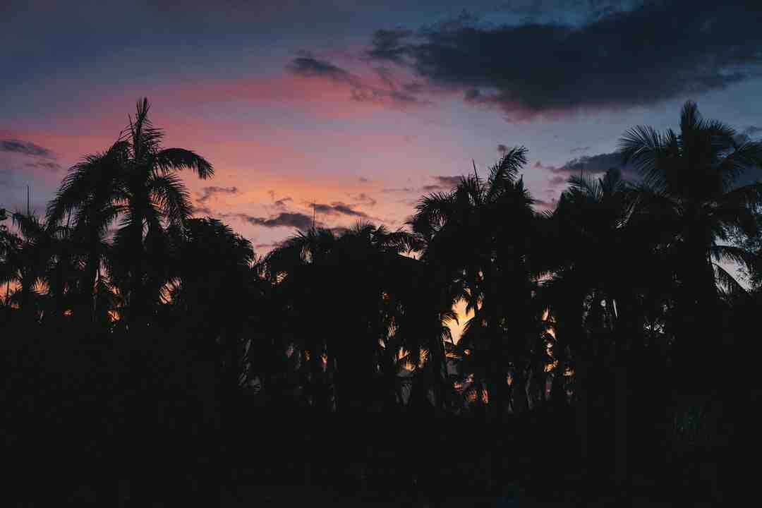 Gdzie są najlepsze plaże na Dominikanie?