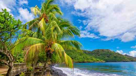 Kapan pergi ke Pulau Reunion?
