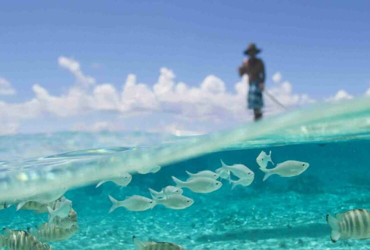 Quand partir aux Tuamotu ?