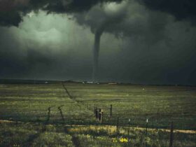 Quel climat en Polynésie ?