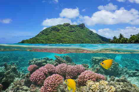 Qual é a melhor época para ir às Marquesas?