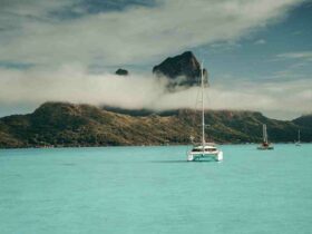 Quel métier faire à Tahiti ?