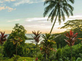 Quel temps Fait-il en novembre à Tahiti ?