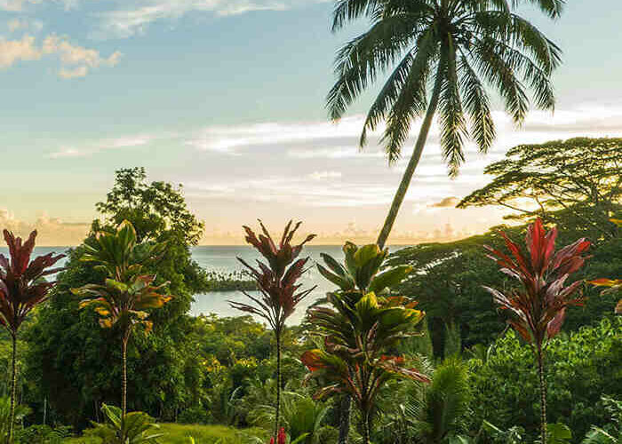 Quel temps Fait-il en novembre à Tahiti ?