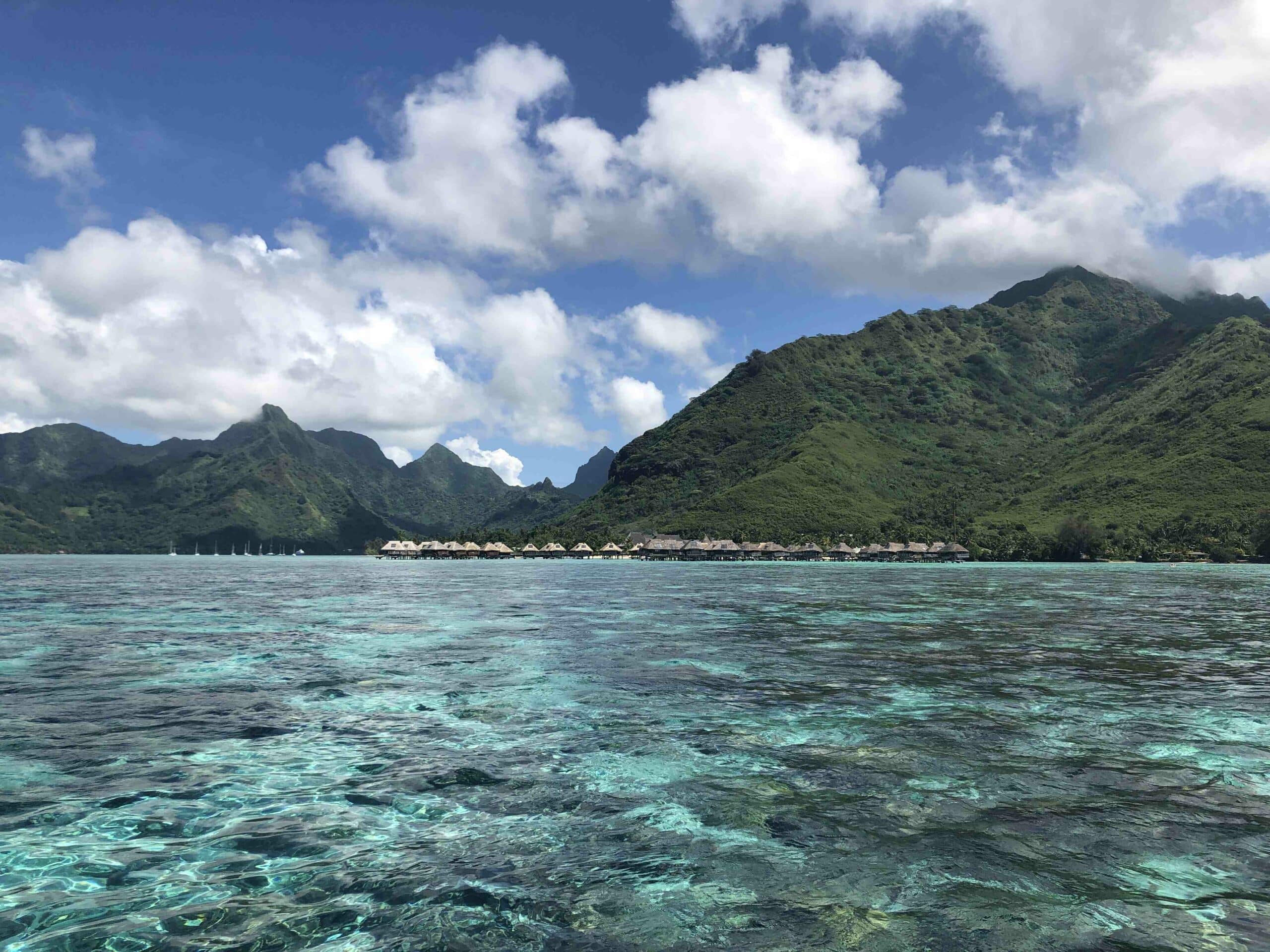 Tahiti'de ne işi var?