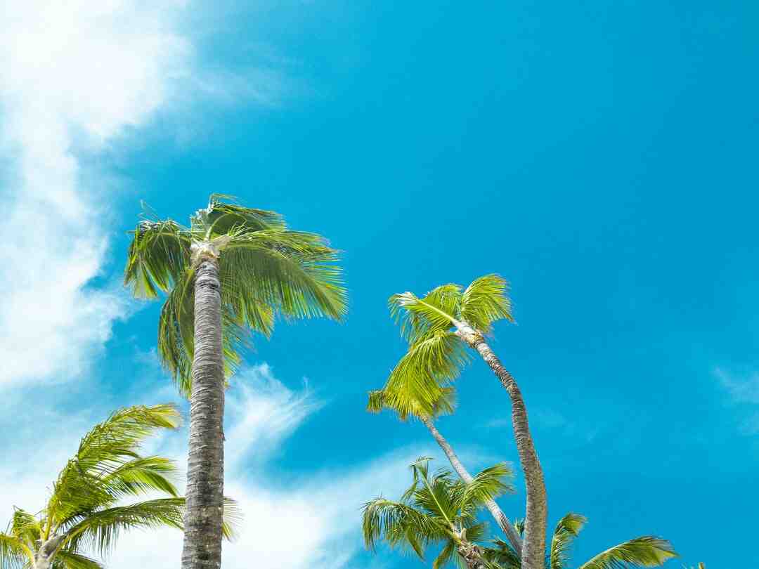 Jaka wiza do Punta Cana?