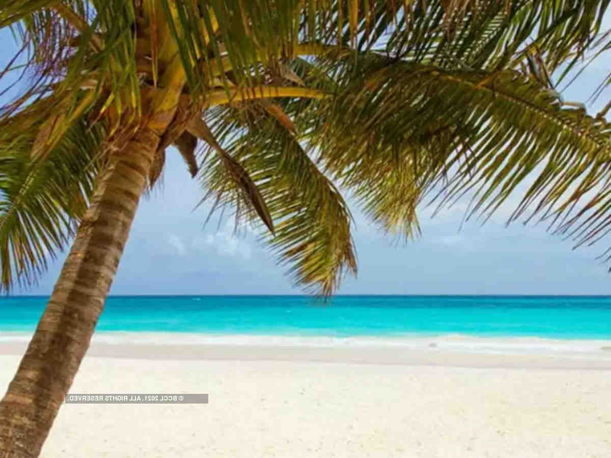 Wann ist die beste Reisezeit für die Westindischen Inseln?