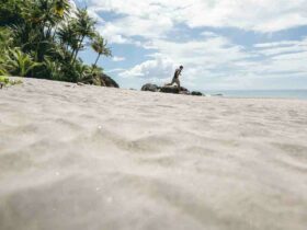 Quelle est la meilleure période pour aller en Martinique ?