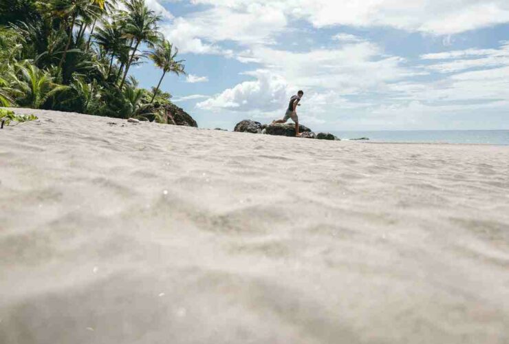 Quelle est la meilleure période pour aller en Martinique ?