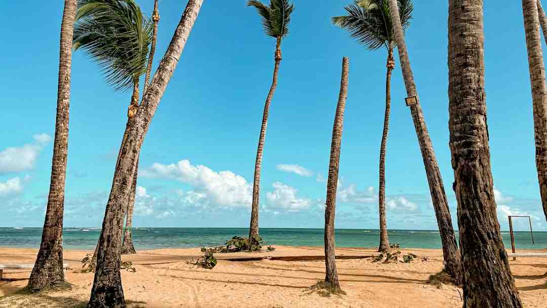 Când este sezonul ciclonilor în Republica Dominicană?