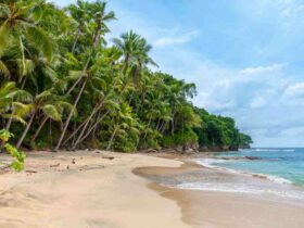 Où se garer plage de Tahiti ?