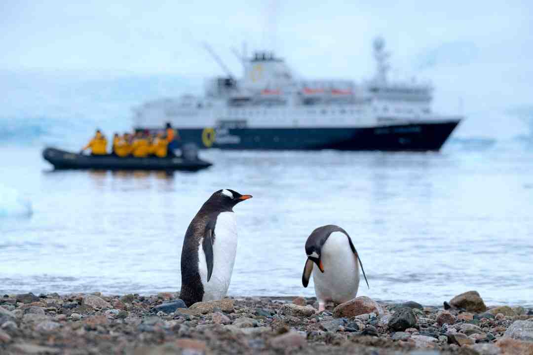 Di mana Samudra Antartika berada?
