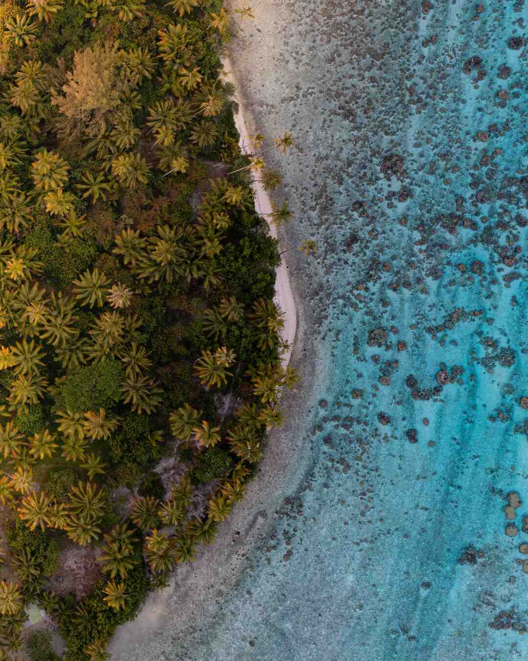 Andare arroccato in Polinesia?