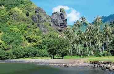 När ska man åka till Reunion Island?