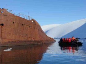 Quel est le plus froid entre l'Arctique et l'Antarctique ?