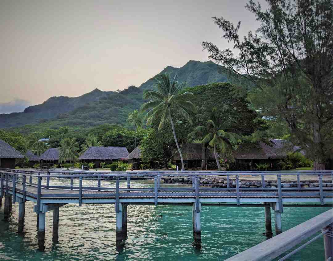 Welches Unternehmen soll nach Bora Bora reisen?