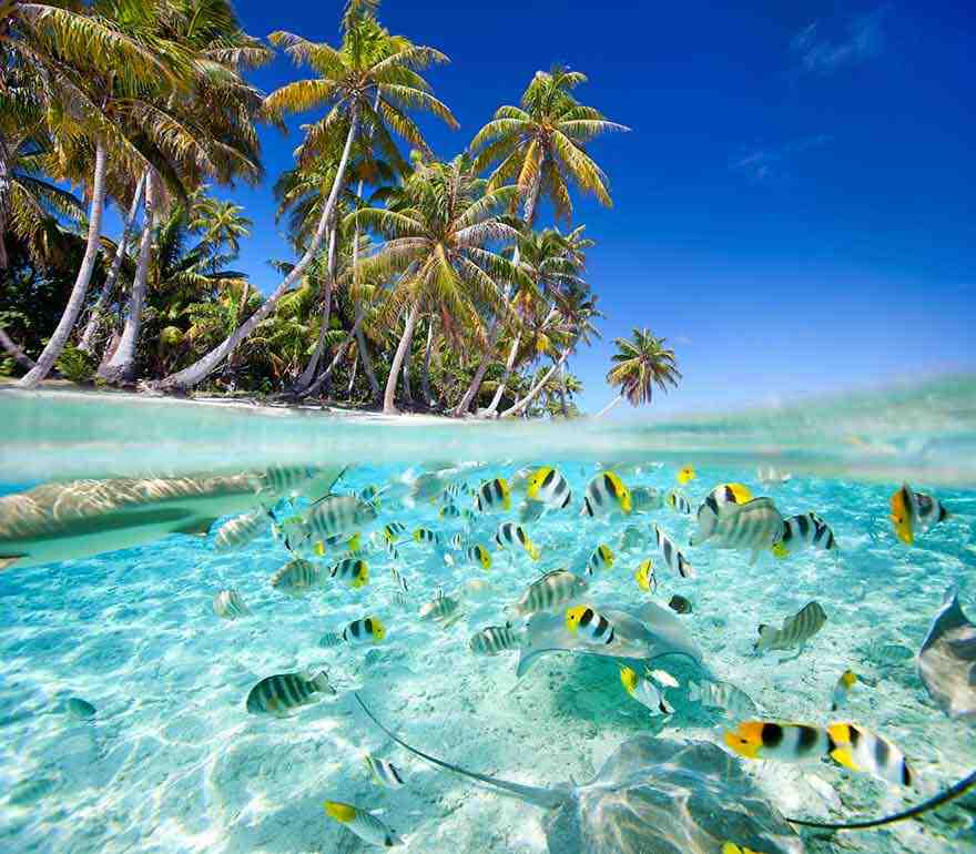 ¿Qué isla visitar en las Tuamotu?