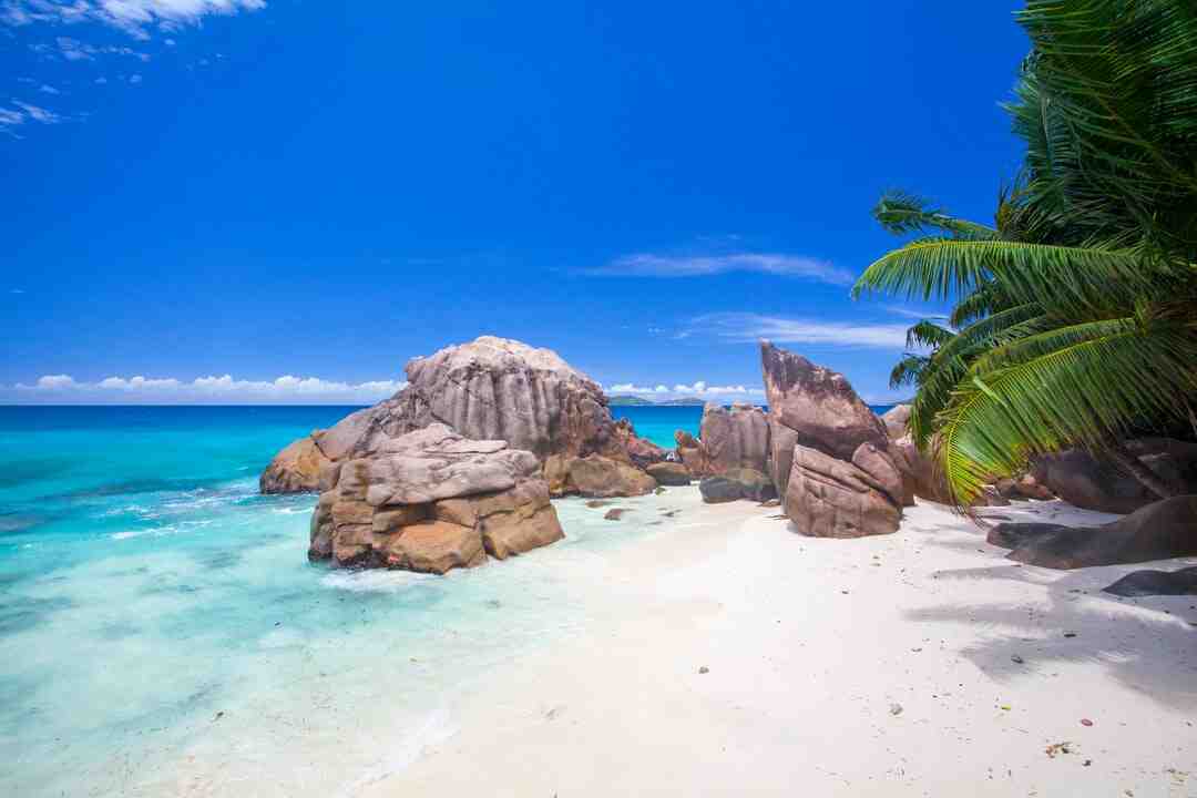 Is it dangerous to go to the Seychelles?