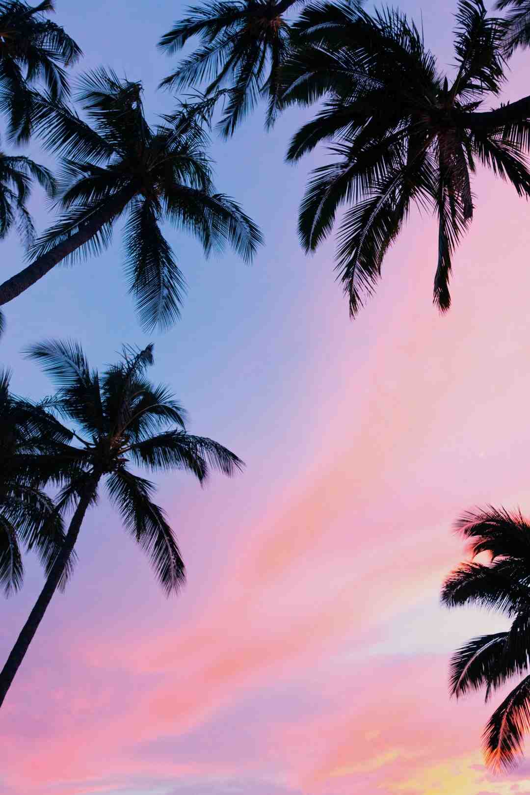 Kapan harus berselancar di Hawaii?