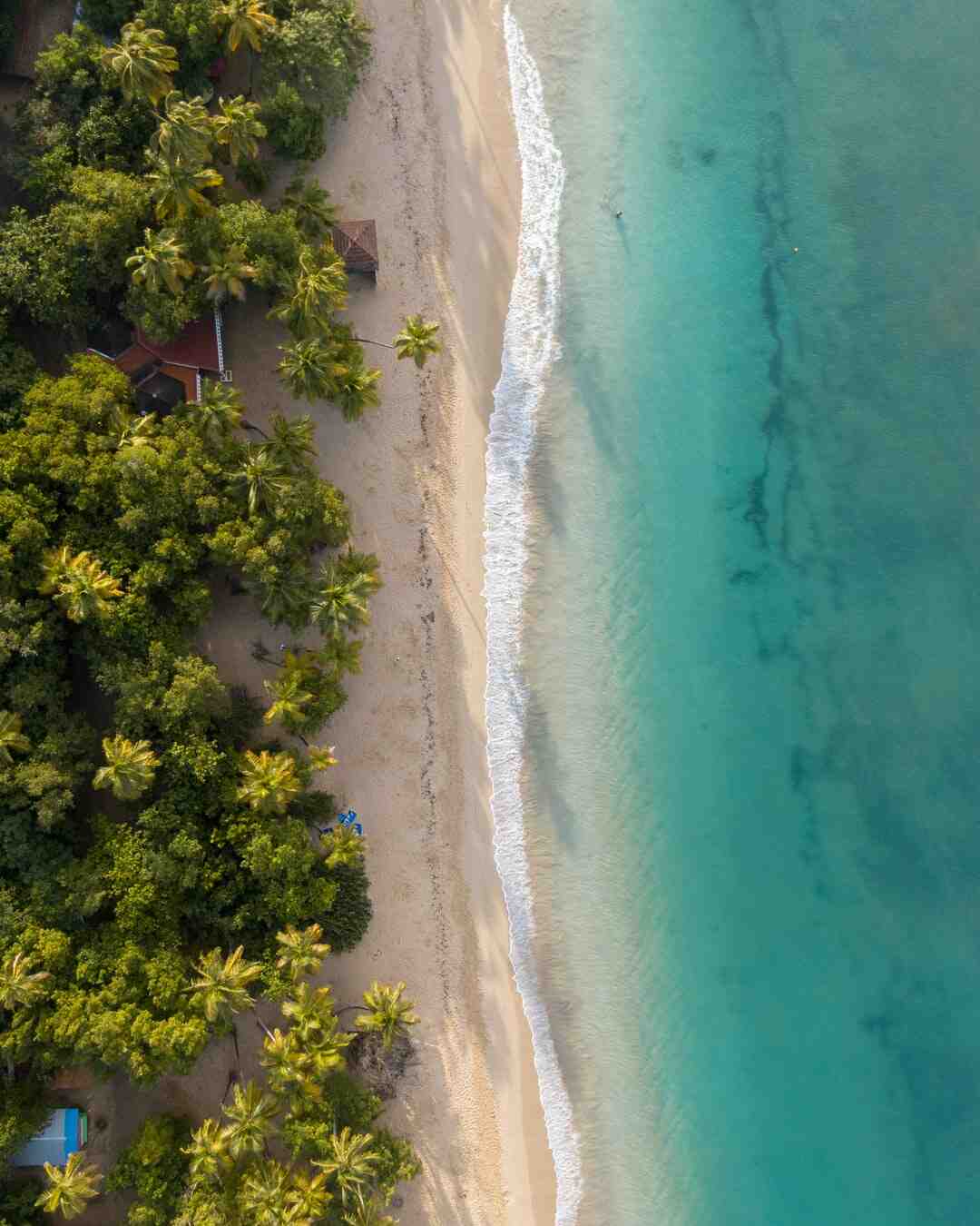 Qual è la stagione migliore per andare in Martinica?