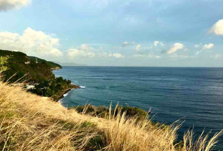 Quelle est la saison des pluies en Martinique ?