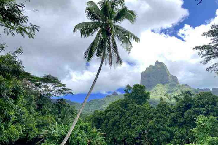 Gehört Französisch-Polynesien zu Frankreich?