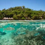 Quel est la meilleure période pour aller à Tahiti ?