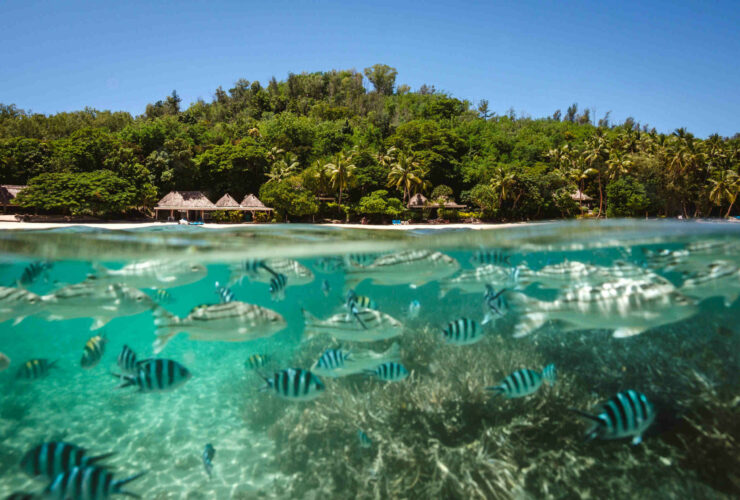 Quel est la meilleure période pour aller à Tahiti ?