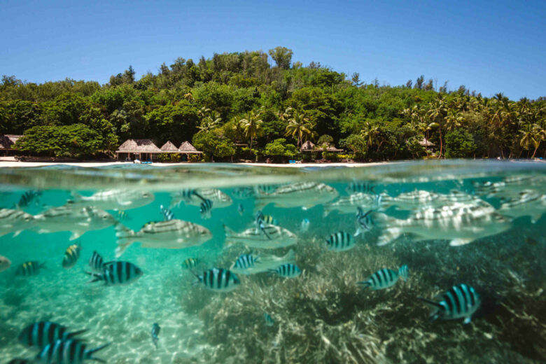 Quel est la meilleure période pour aller à Tahiti ?