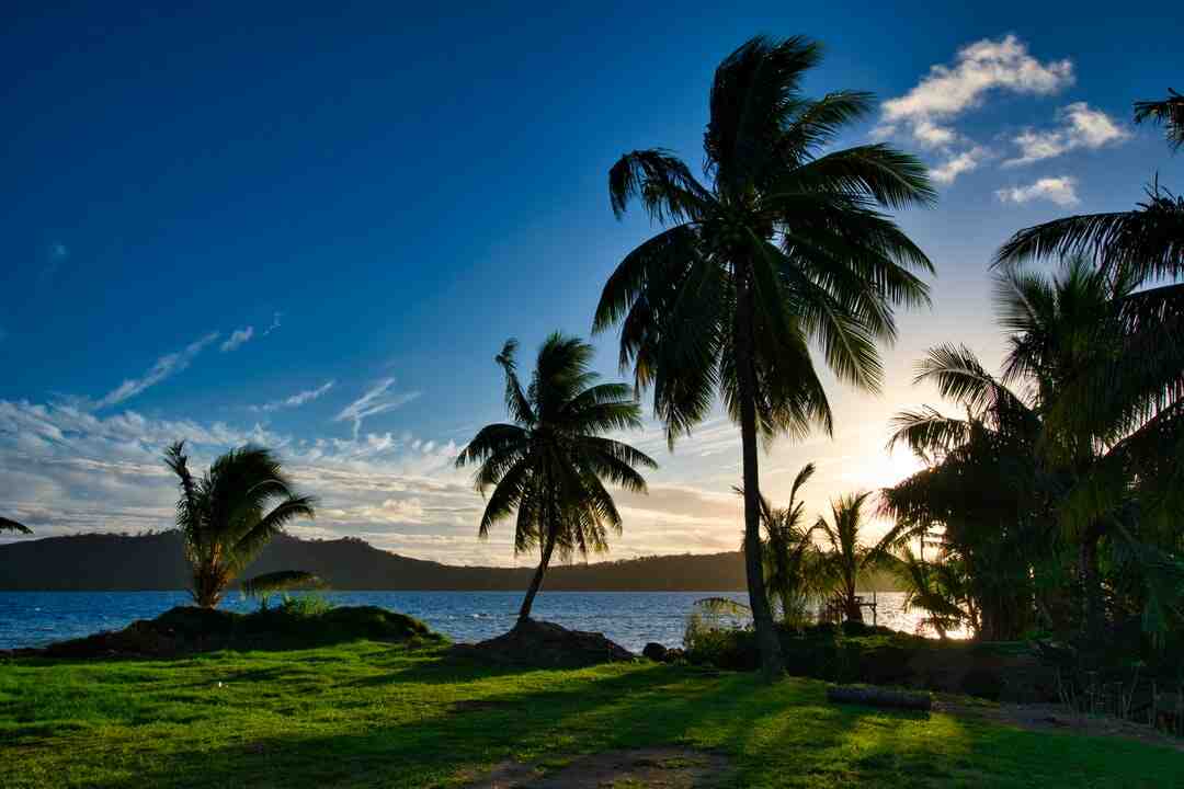Berapa gaji untuk hidup dengan baik di Polinesia?