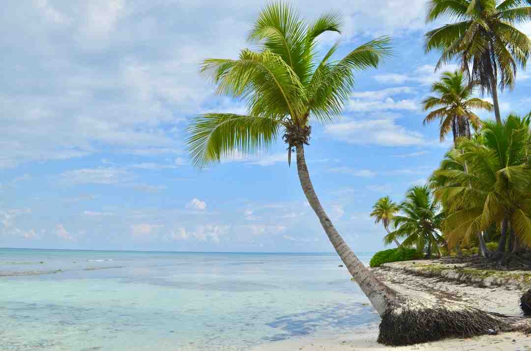 ¿Cuál es la isla más grande de las Antillas Menores?