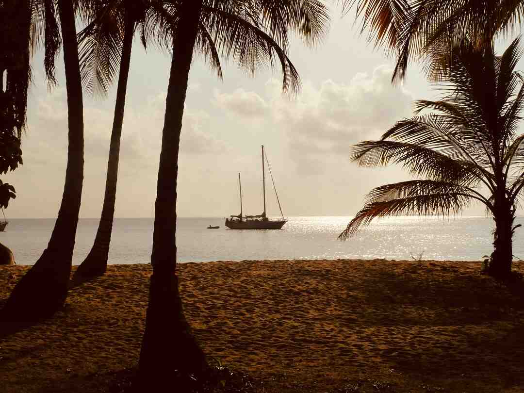 Qual è la principale risorsa delle Piccole Antille?