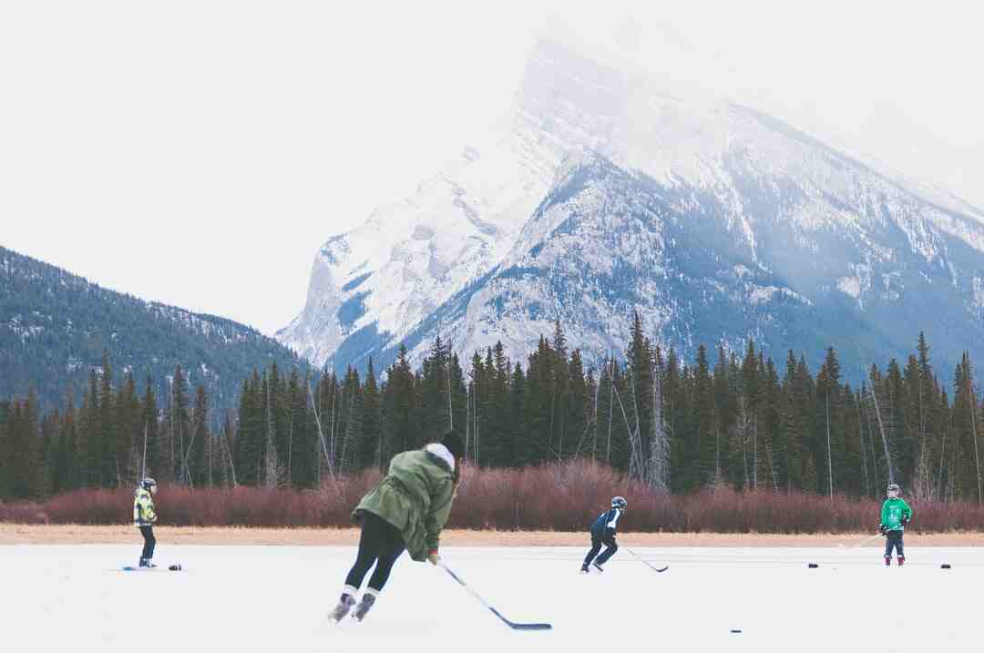 Ave Canada'yı nasıl doldurabilirim?