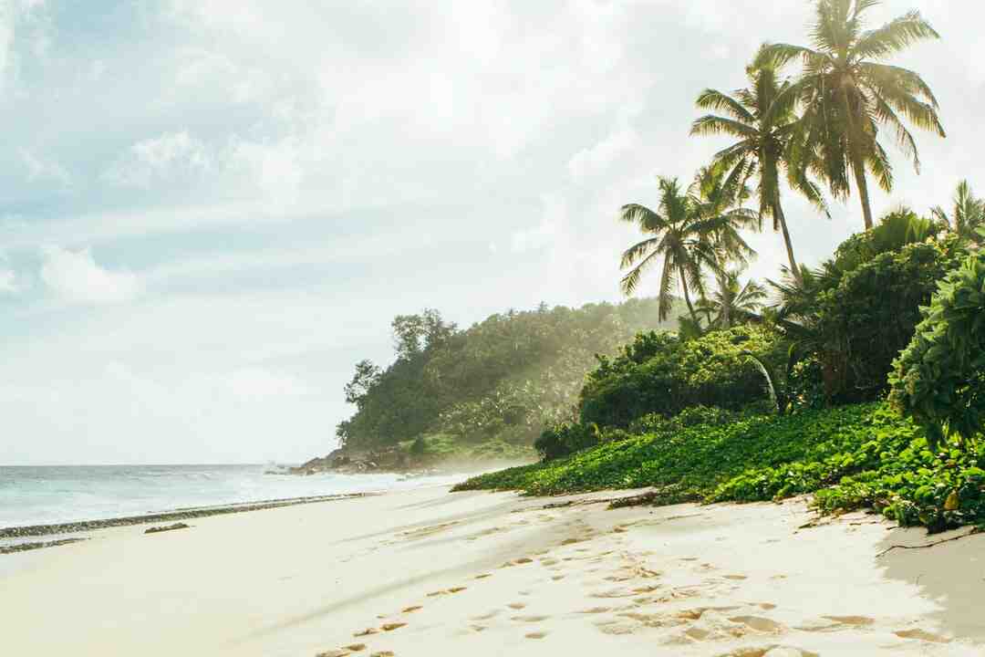 Galeri gambar 1: Waktu apa yang lebih baik untuk Seychelles?