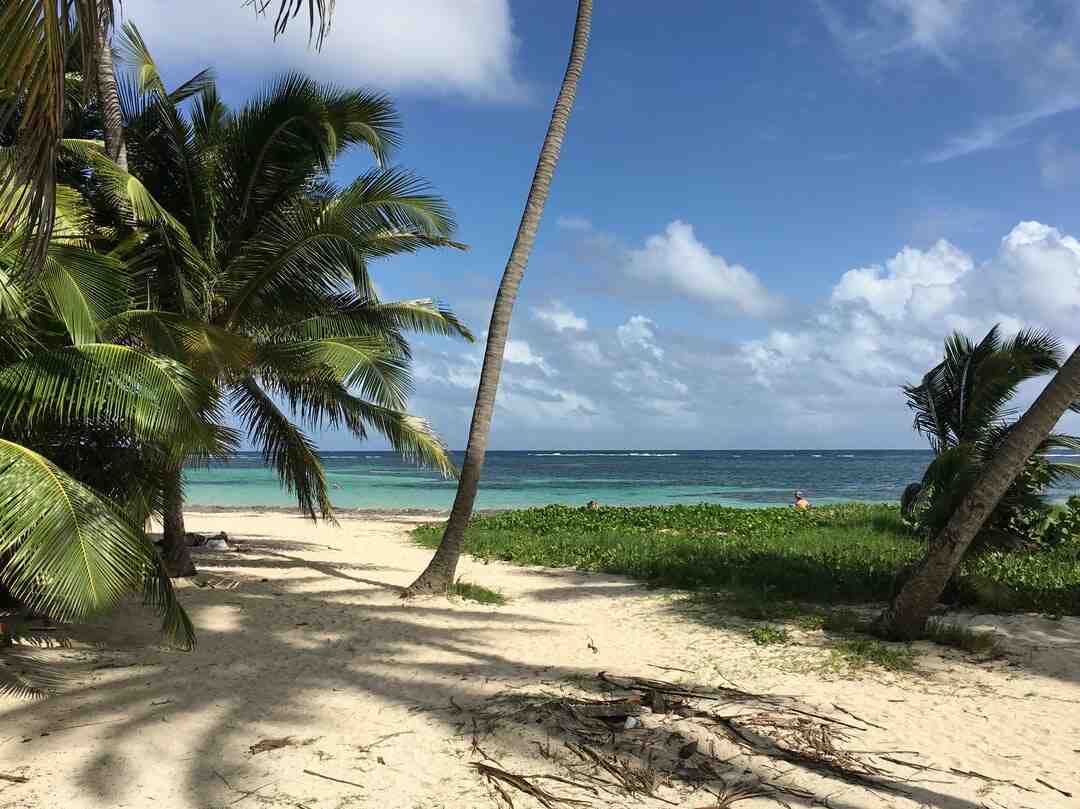 Какой самый жаркий месяц в Мартиника?